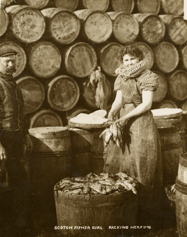 Scottish fisher girl packing herring